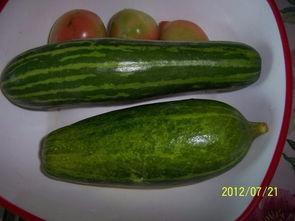 吃烧瓜原版,烧瓜的独特风味与制作奥秘