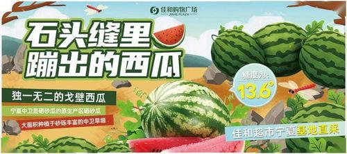 吃瓜每日大赛今日热门,今日热门吃瓜大赛盘点