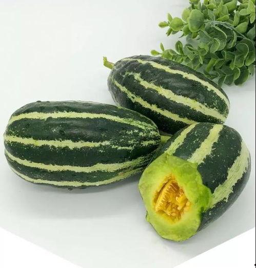 九盛北海吃瓜,一场别开生面的吃瓜盛宴