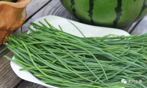 吃瓜网菜网红,揭秘网络美食界的明星风采