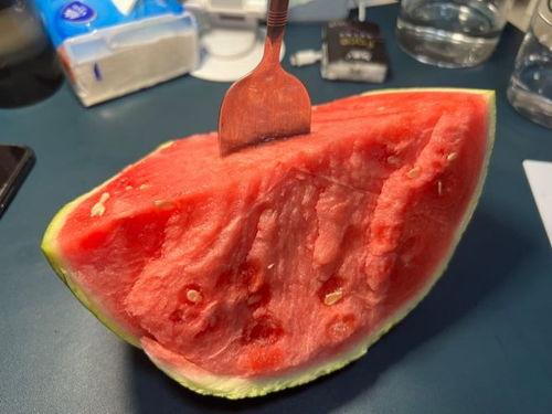 吃小白瓜腹泻,探究饮食与健康的微妙平衡