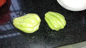 瓜的根茎怎么吃,探索美味烹饪新方式