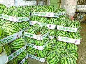 吃瓜盟主在武汉吗,揭秘网红背后的生活轨迹”