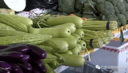 吃一口苦葫芦瓜会中毒吗,中毒风险知多少？