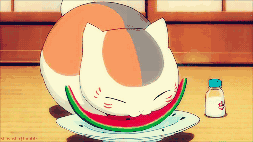 猫猫快乐屋吃瓜,一场别开生面的吃瓜盛宴