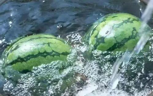 云南丽江吃瓜,探寻云南美食之旅