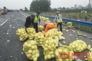 安溪浅陌吃瓜群众,吃瓜群众的趣味生活揭秘