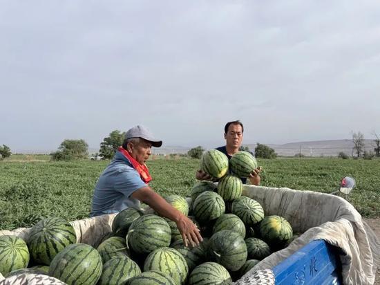 邢湾吃瓜事件,揭秘网络谣言背后的真相