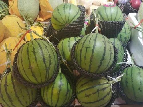 吃瓜小倪,揭秘娱乐圈那些不为人知的幕后故事