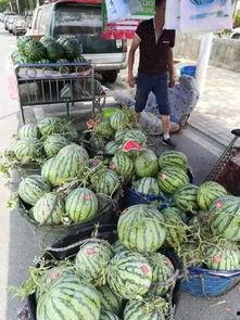 石家庄天台吃瓜事件,真相与围观背后的社会现象