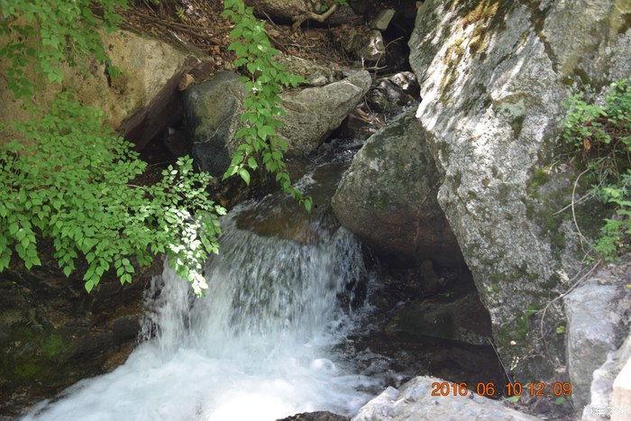 峡谷吃瓜靠大众,一场全民参与的电竞盛宴