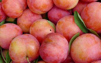 大李子吃瓜,揭秘娱乐圈幕后故事