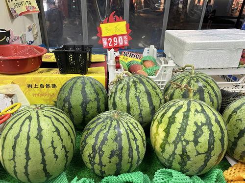 吃瓜等很久,终于迎来吃瓜盛宴