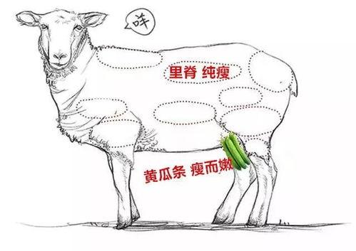 吃瓜羊揭秘,探寻网络红人的幕后故事