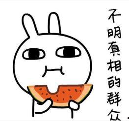 农村吃瓜文案短句搞笑,笑料横生，瓜农们笑不活了！