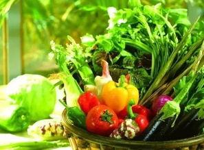 成都云立方吃瓜